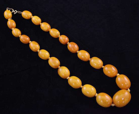 A single strand graduated amber oval bead necklace, 18in.